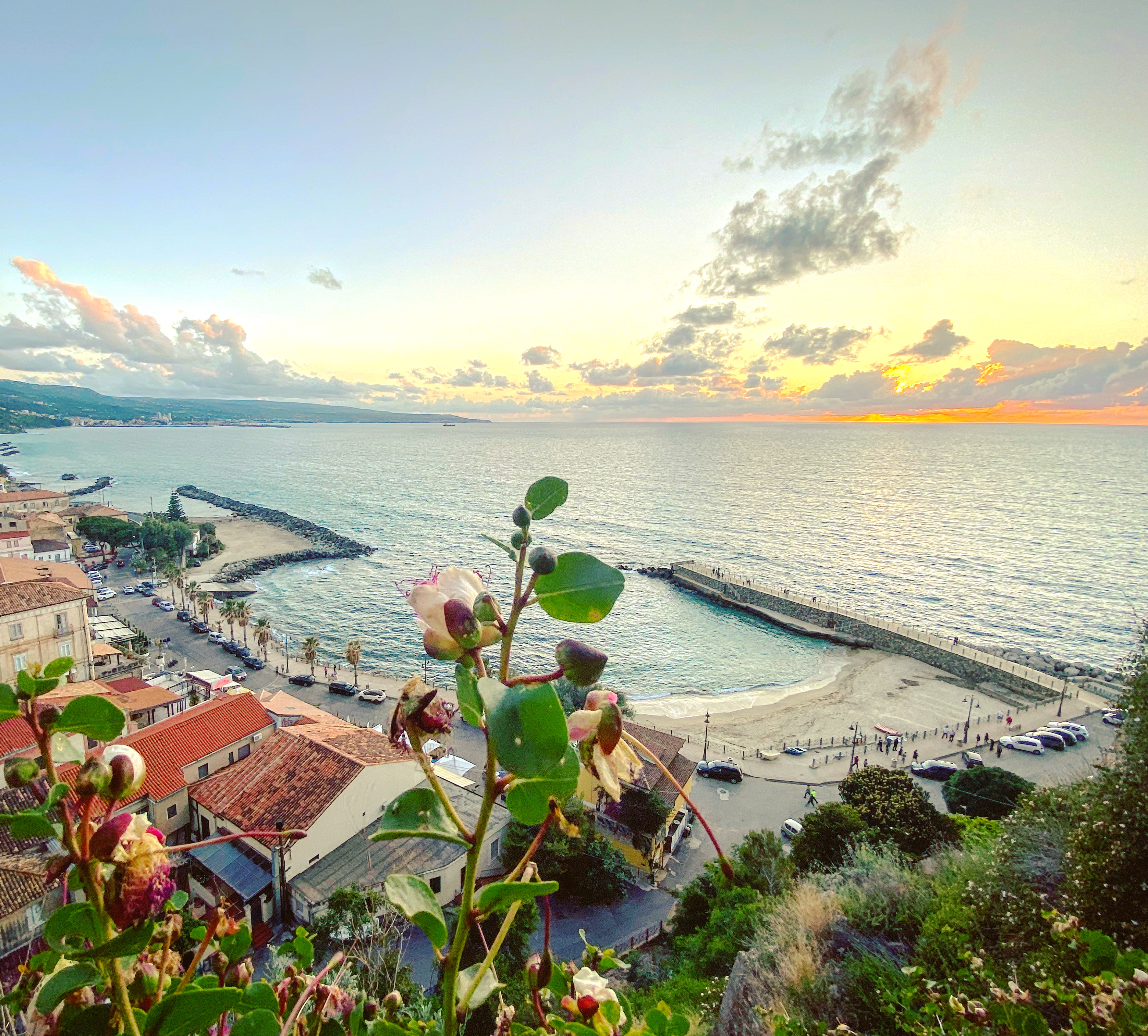 pizzo